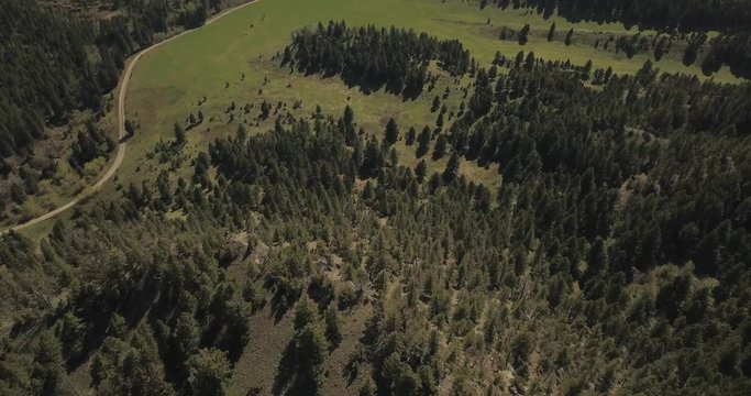 Bridger Canyon valley trail in Bozeman Montana countryside at summer season filled with green spruce trees
(drone shot)
