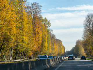 arbres d'automne sur l'autoroute A13 à la sortie de Paris