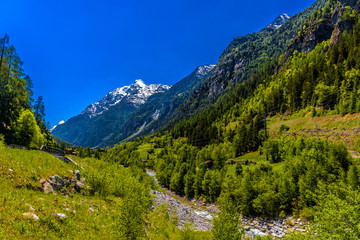 Fototapeta na wymiar Mountain river in Swiss Alps mountains, Sankt Niklaus, Visp, Wal