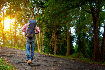 The handsome man is touring in the woods during the holidays. Hiker walking in the forest. Autumn, nature, people concept