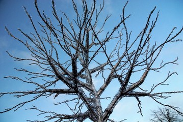 Plaisirs d’hiver 2018 : Marché de Noël de Bruxelles (Belgique)

