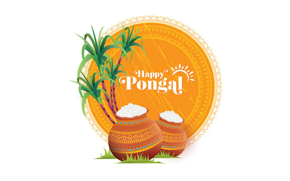 Happy Pongal Festival Background Template Design Vector Illustration