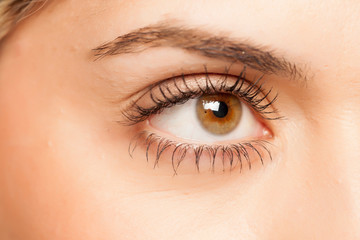 Obraz premium closeup of female eye