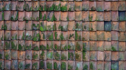 красная черепица кровли