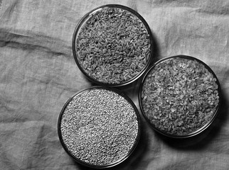 Black and white photo of quinoa, bulgur, brown rice in small glass plates against a linen tablecloth. Close up of healthy cereals.
