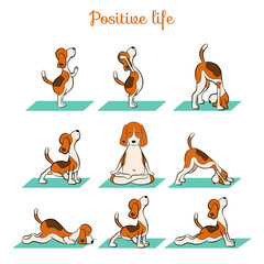 cartoon funny dog doing yoga position of Surya Namaskara