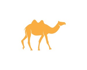 Camel icon logo design vector illustration