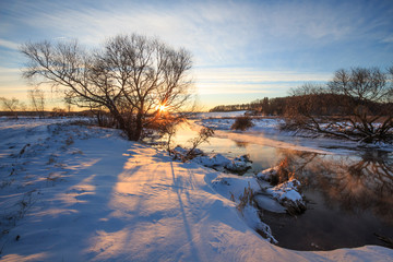 trees and grass in the frost by the river in winter