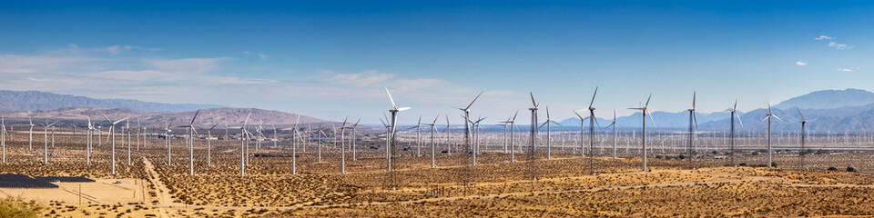 Panorama of Wind Farm in Palm Springs CA