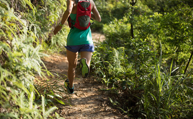 Naklejka na ściany i meble young fitness woman trail runner running on forest trail