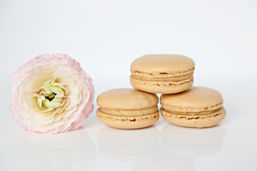 pink flowers and macaroons on white background