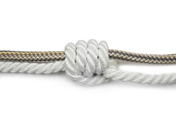 Ropes with knot on white background