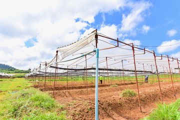 Fototapeta na wymiar Agriculture Tent in the Countryside of Thailand
