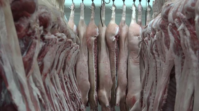 Pork is eaten both freshly cooked and preserved. Curing extends the shelf life of the pork products. Ham, smoked pork, gammon, bacon and sausage are examples of preserved pork.