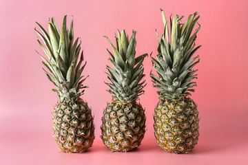 Ripe pineapples on color background