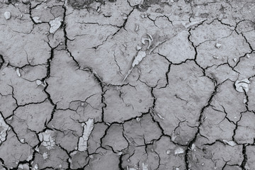 Cracks of the dried soil in arid season Monochrome