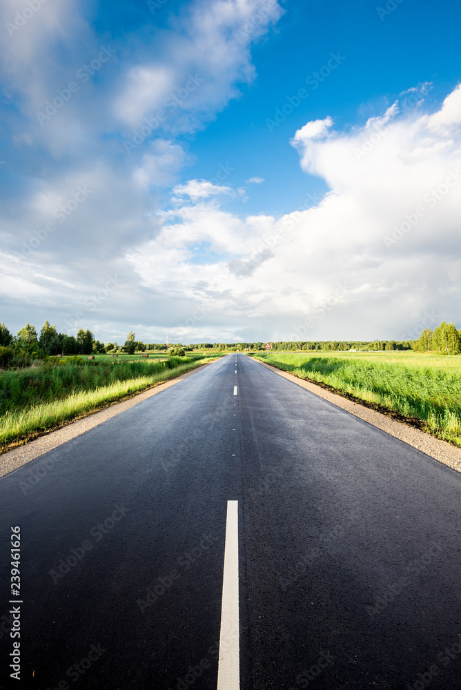 Wall mural a road through the green agricultural fields with a forest in the background on a sunny summer day, 