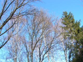 KONICA MINOLTA DIGITAL CAMERA