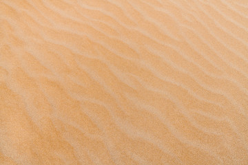 Beach sand texture with lines made by the wind