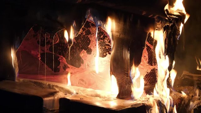 Flames flickering on burning bee hive box infected with foulbrood disease