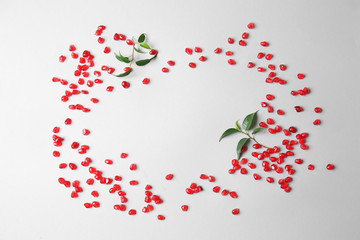 Obraz na płótnie Canvas Frame made of pomegranate seeds on light background