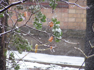 KONICA MINOLTA DIGITAL CAMERA