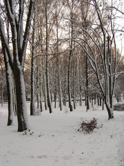 KONICA MINOLTA DIGITAL CAMERA