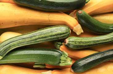 viele verschiedene Zucchini gelbe und grüne
