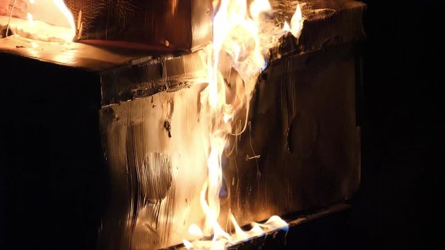 Honeybee hive box on fire and melting to kill American Foulbrood Disease CLOSEUP