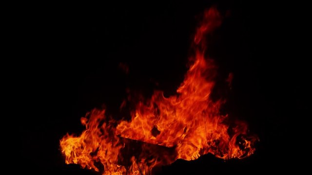Eradicating American Foulbrood Disease by burning beehive box in New Zealand