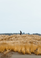 man walking in field on the coast 