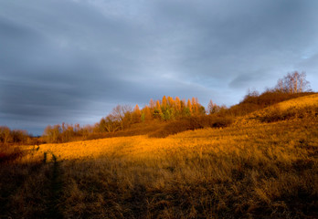 Jesienny krajobrazy pól i zadrzewień w świetle zachodzącego słońca