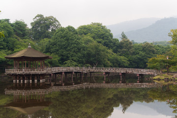 Fototapeta na wymiar Reflection of Pagoda in Nara, Japan