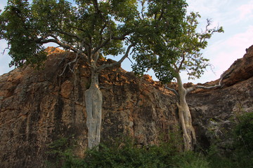 Rocks at Kaoxa Rock Art Shelter in South Africa