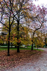 Naklejka na ściany i meble Milan, Italy Indro Montanelli park, autumn leaves