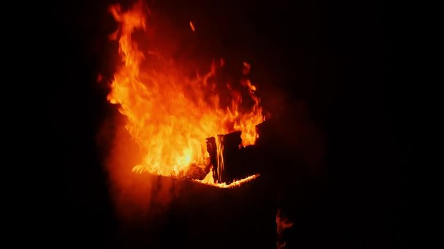 Diseased honeybee colony burning to kill American Foulbrood in New Zealand