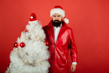 Business man in Santa hat near white Christmas tree. Bearded man ready for Christmas. Santa Claus with New Year fir-tree. Serious Santa Claus with pine tree.Christmas, Winter holiday, New Year concept