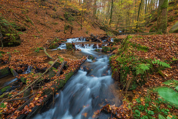 Karlstalschlucht bei Trippstadt