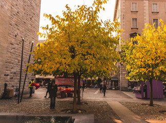 Como, Italy - Como tower and Pantera palace © luca