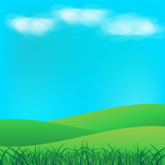 Fototapeta na wymiar Grass field with clouds on sky landscape abstract background vector illustration