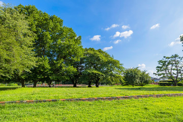 Obraz premium 国分寺市 武蔵国分寺跡