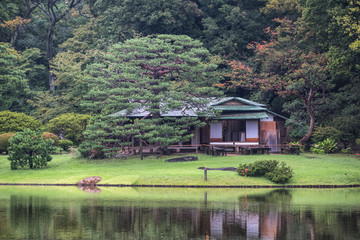 Fototapeta na wymiar view of Japanese garden with pond