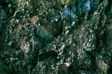 Rough cut tree trunk details