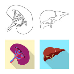 Isolated object of body and human icon. Set of body and medical stock vector illustration.