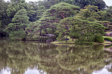 view of Japanese garden with pond