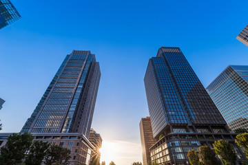 Fototapeta premium 東京丸の内 オフィスビル街の夕景