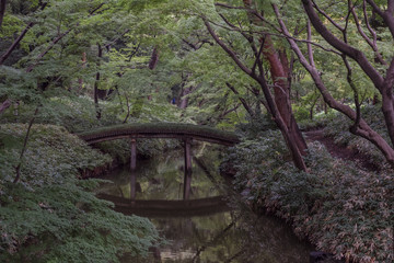 Pond Footbridge and trees at Japanese Garden