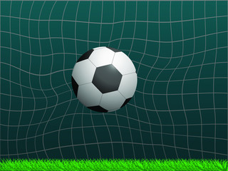 Soccer ball in the goal.Front view.Vector illustration	