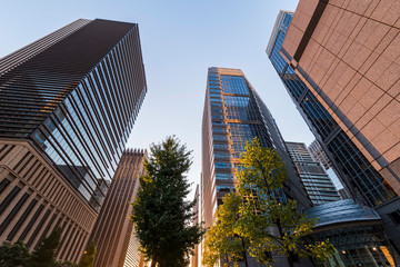 Obraz premium 大手町ビジネス街の夕景