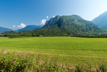 Meadows in Sugana Valley - Valsugana Trentino Italy